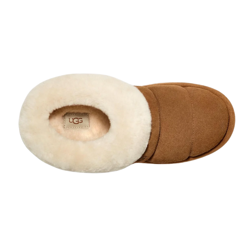 UGG Tazzlita Slipper 'Chestnut' (Women)